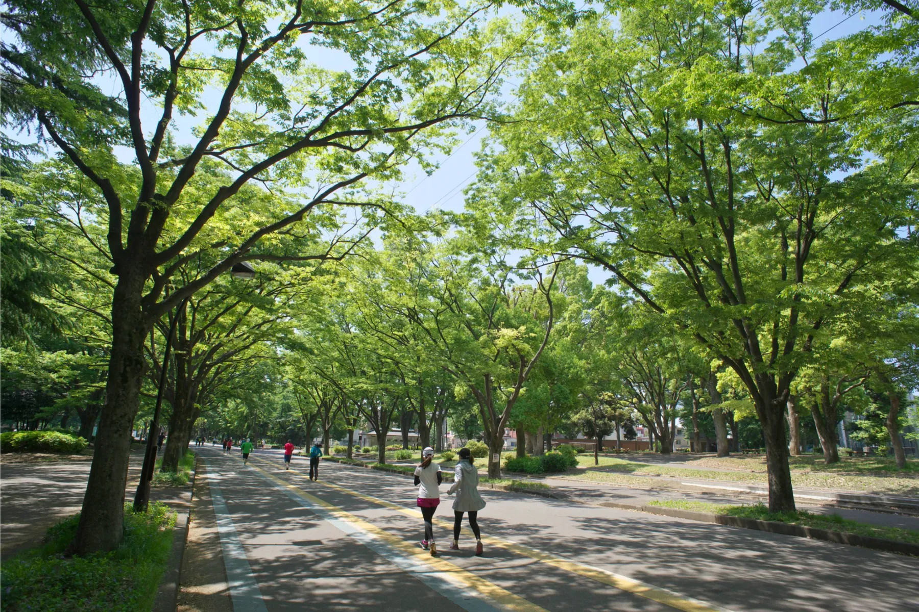 駒沢オリンピック公園_5