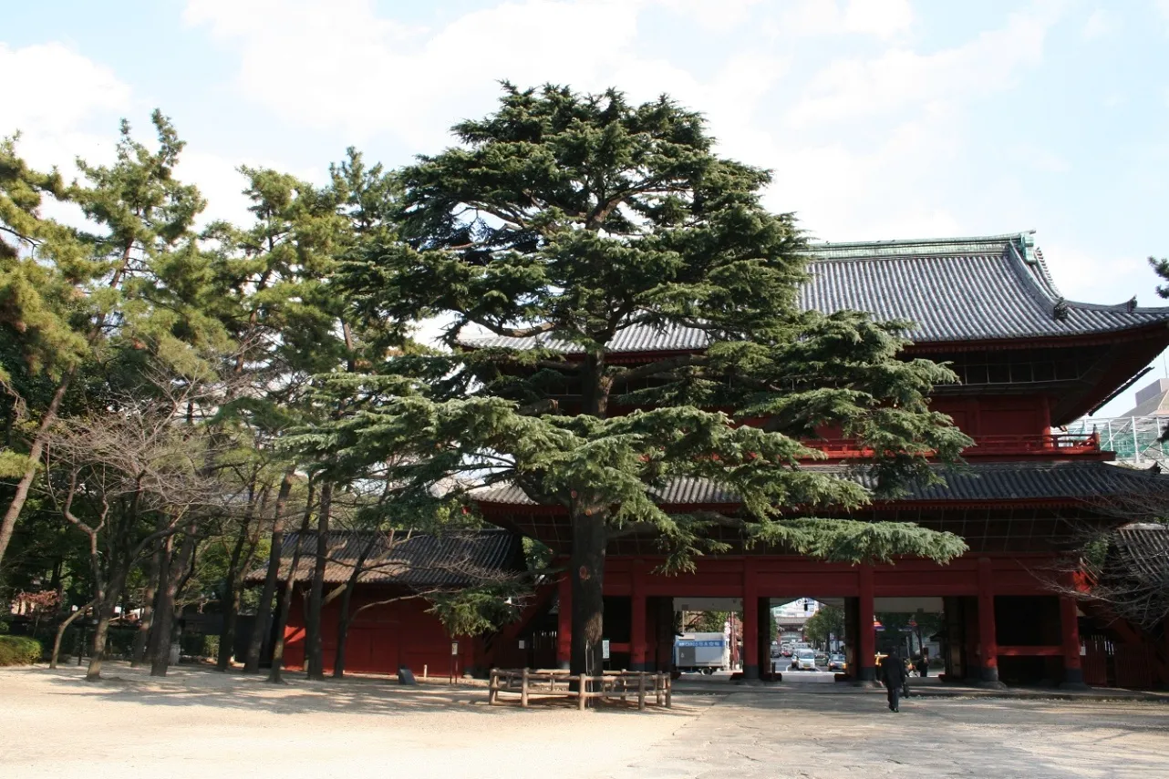 増上寺_4