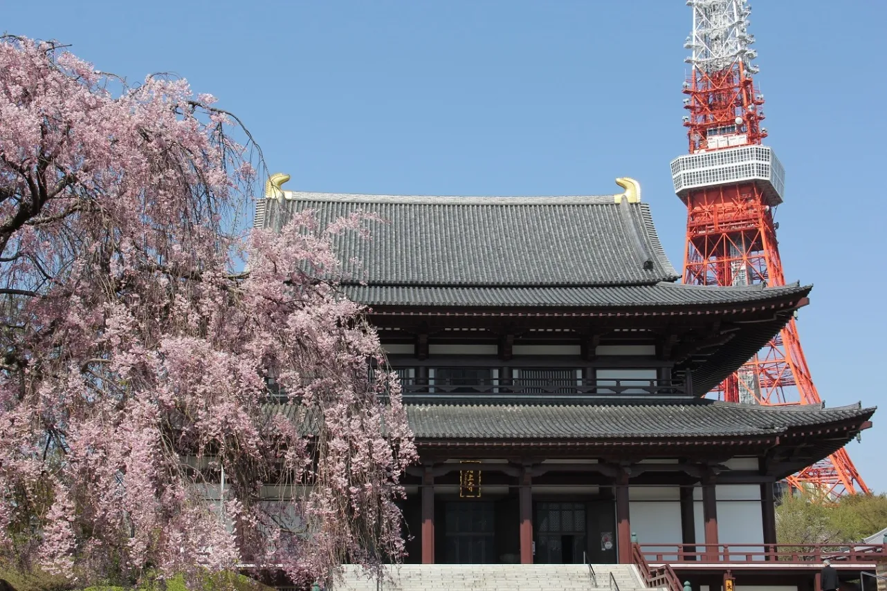 増上寺_6