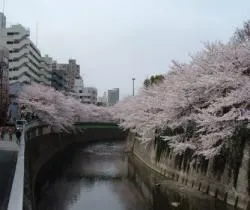 神田川　江戸川橋