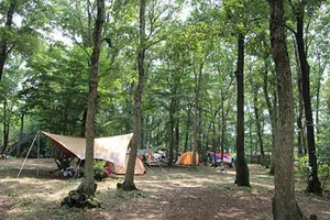 ホウリーウッズ久留里キャンプ村　＜キャンプ場・バーベキュー場＞