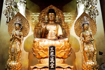 浄閑寺_4