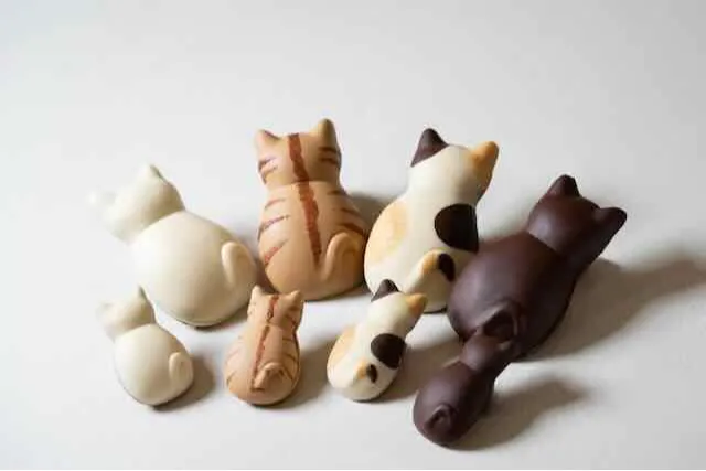 BROWN TABBY 吾妻橋_2