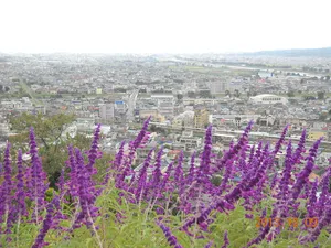 松田山ハーブガーデン