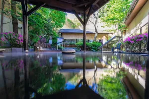 前野原温泉　さやの湯処