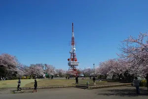 湘南平(高麗山公園)