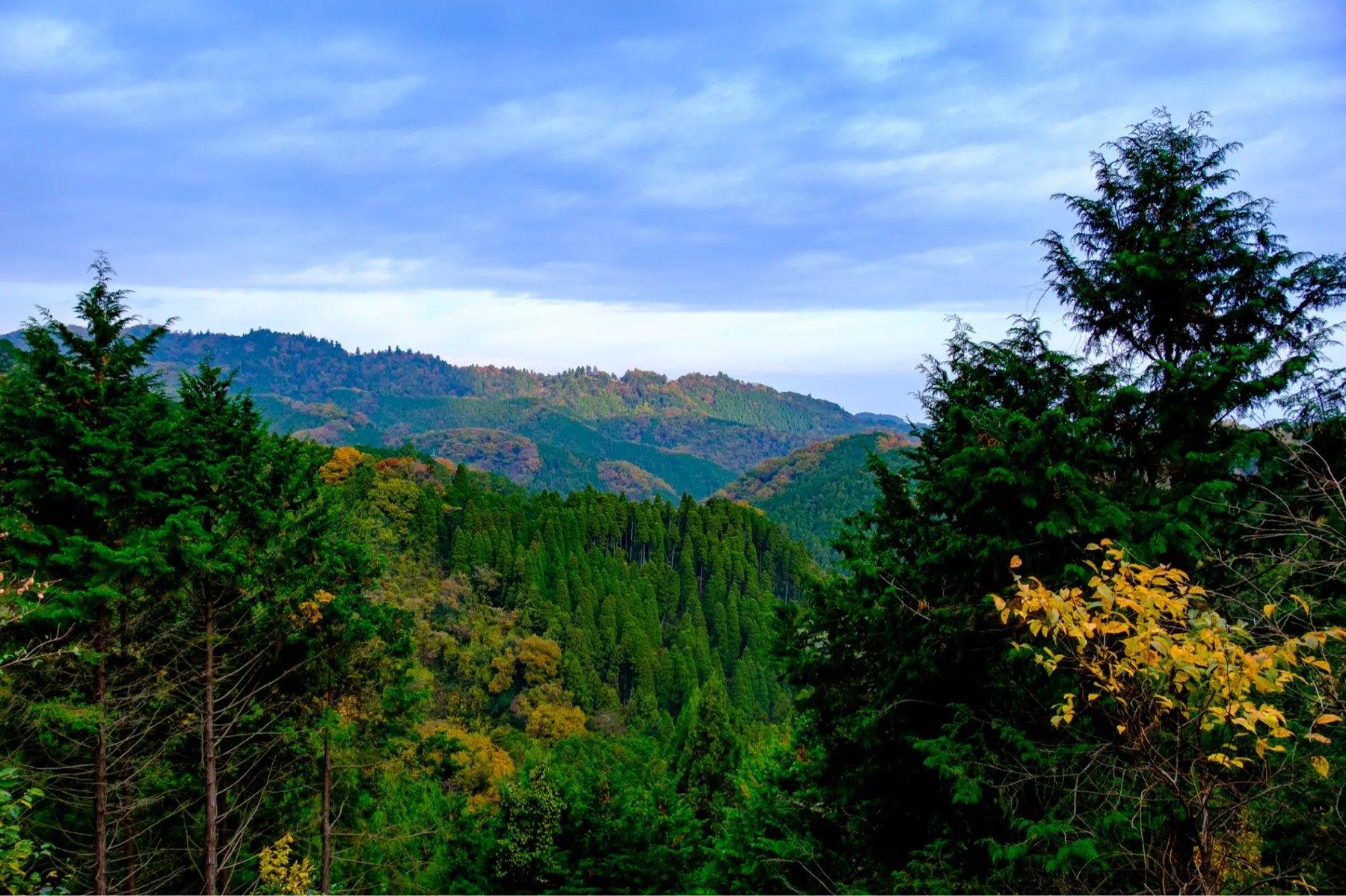 草戸山_3