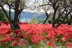 城山公園