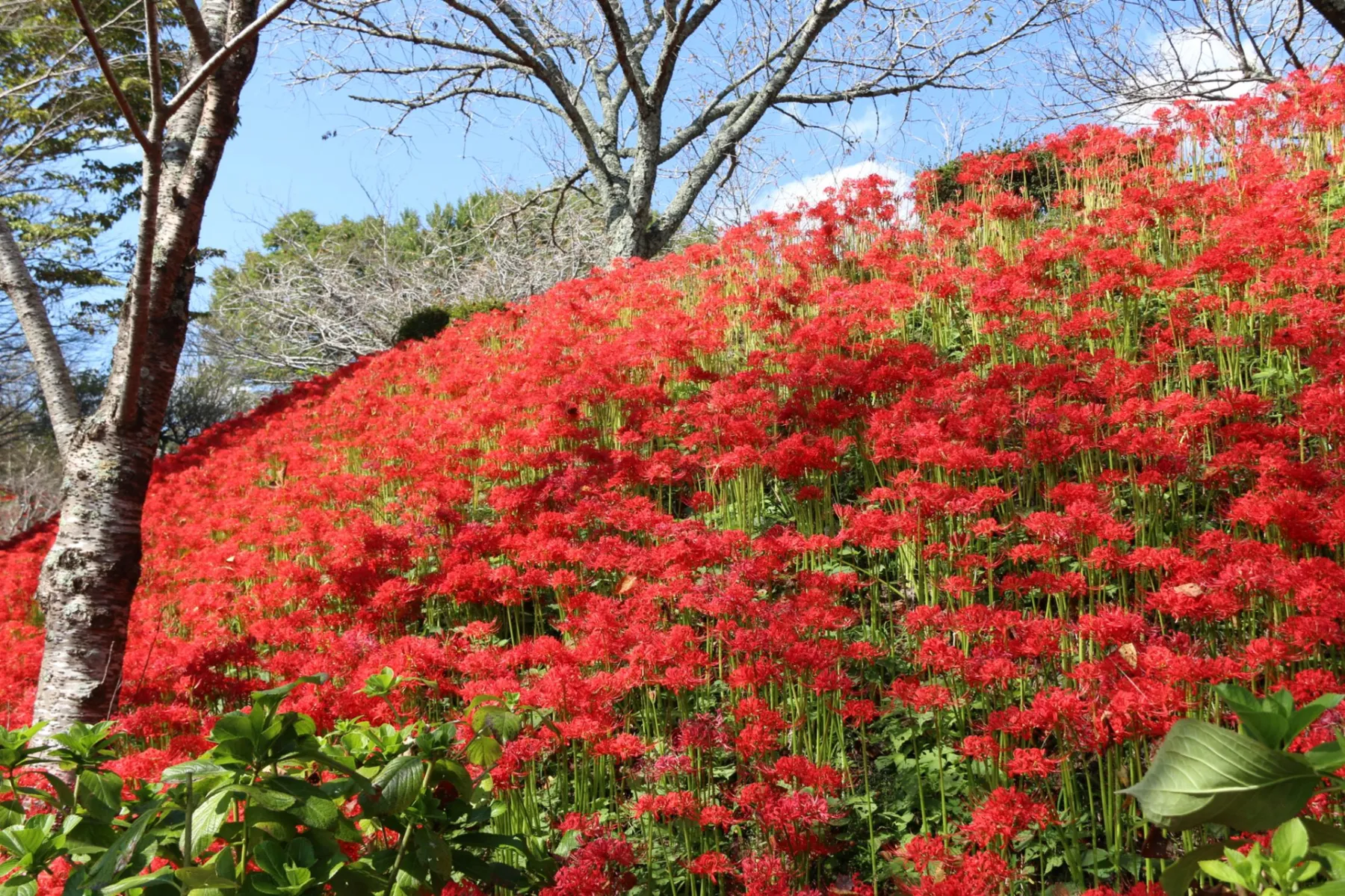 城山公園_4