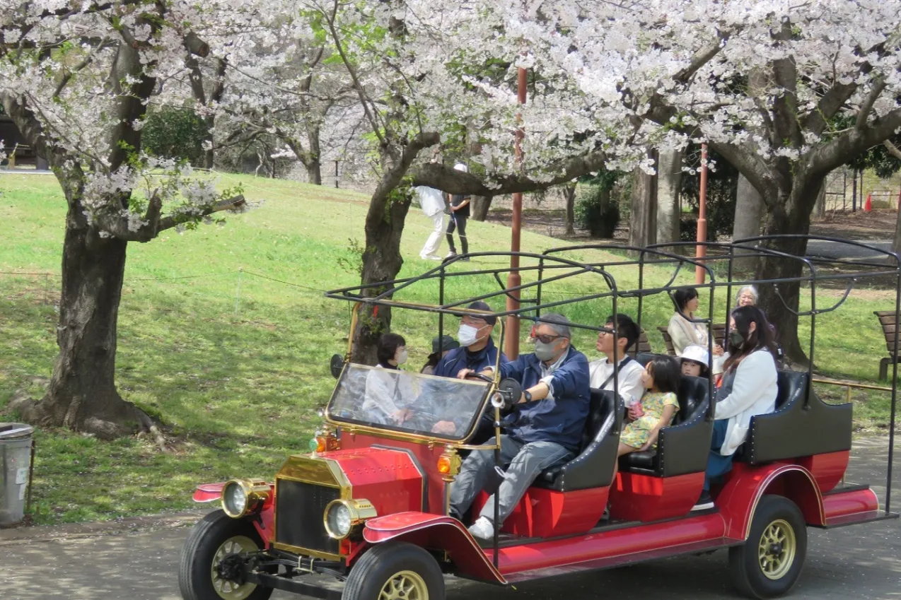 大宮花の丘農林公苑_6