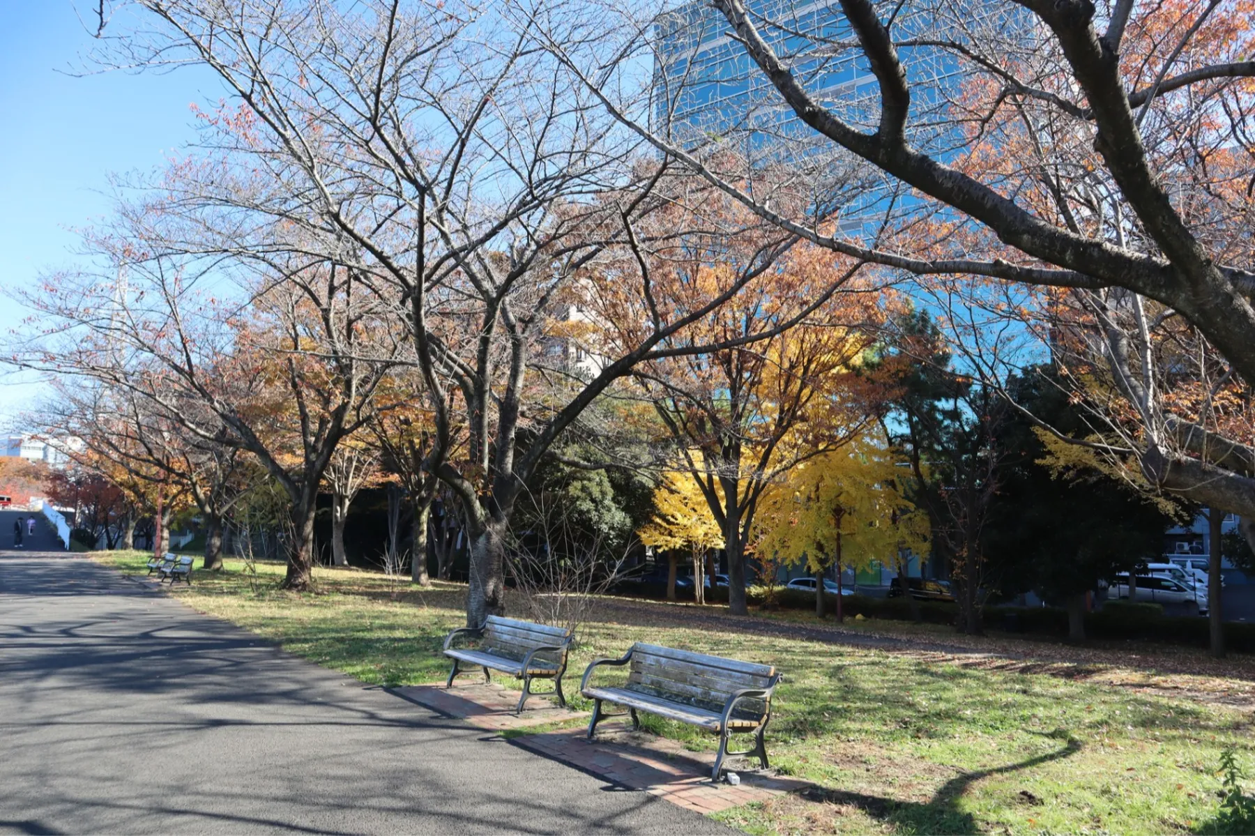 新横浜駅前公園_1