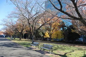 新横浜駅前公園