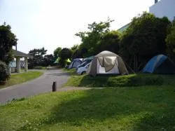 城南島海浜公園キャンプ場_1