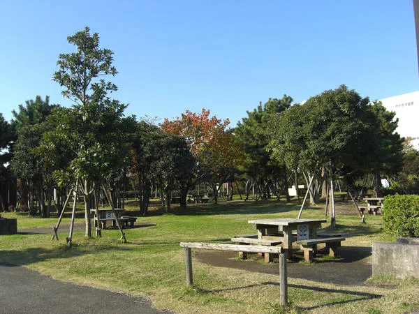 城南島海浜公園キャンプ場_3