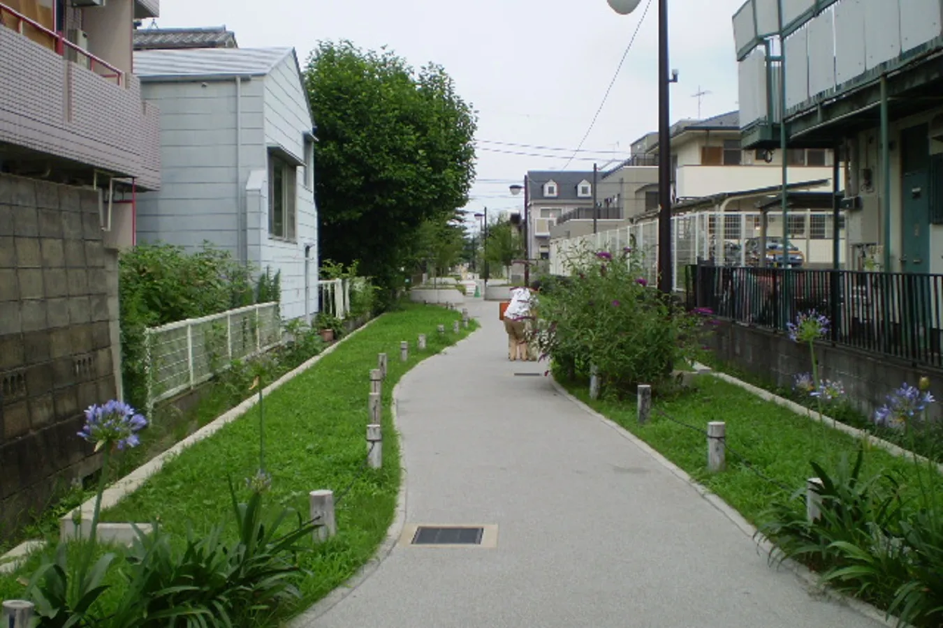 世田谷区立北沢川緑道_2