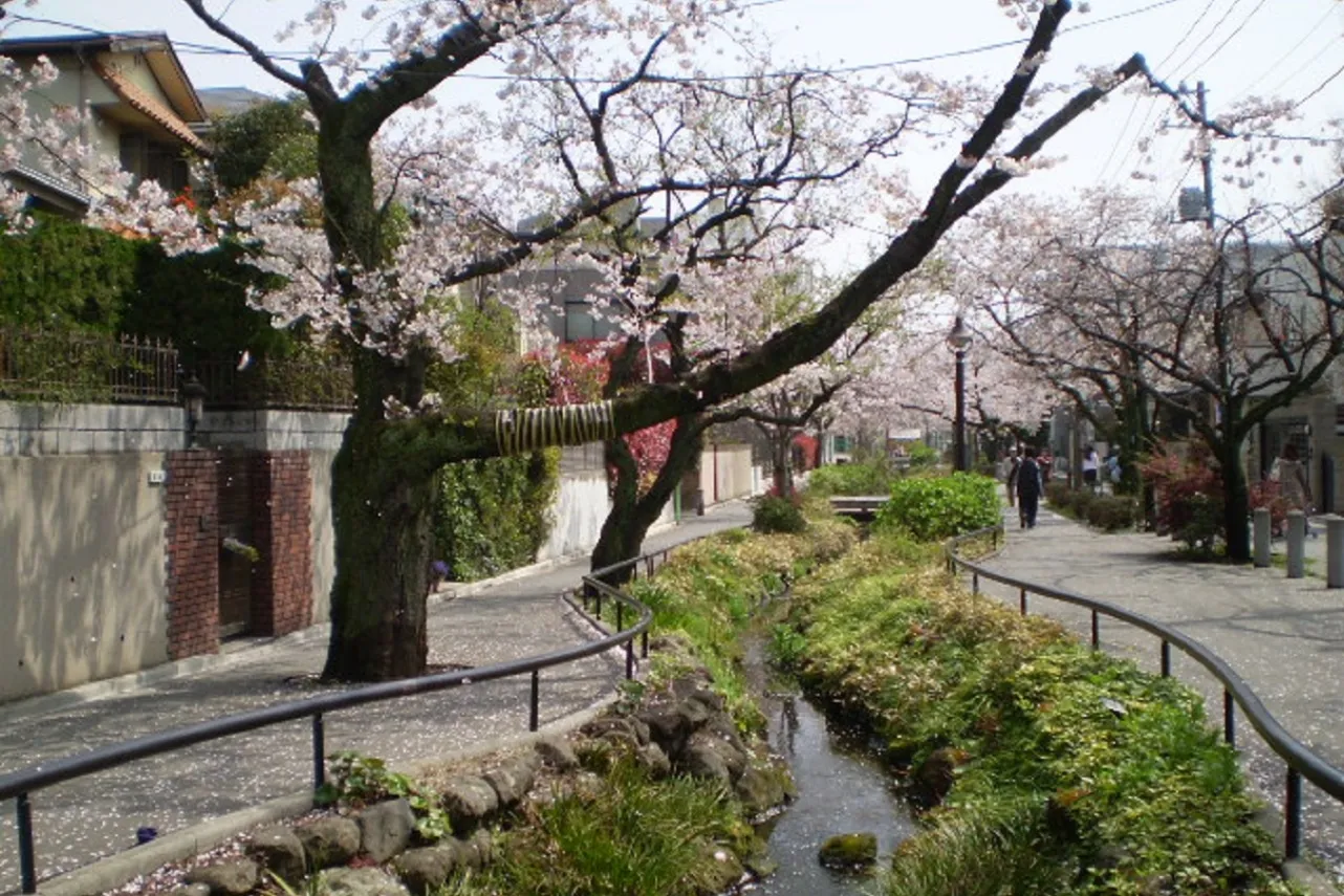 世田谷区立北沢川緑道_4