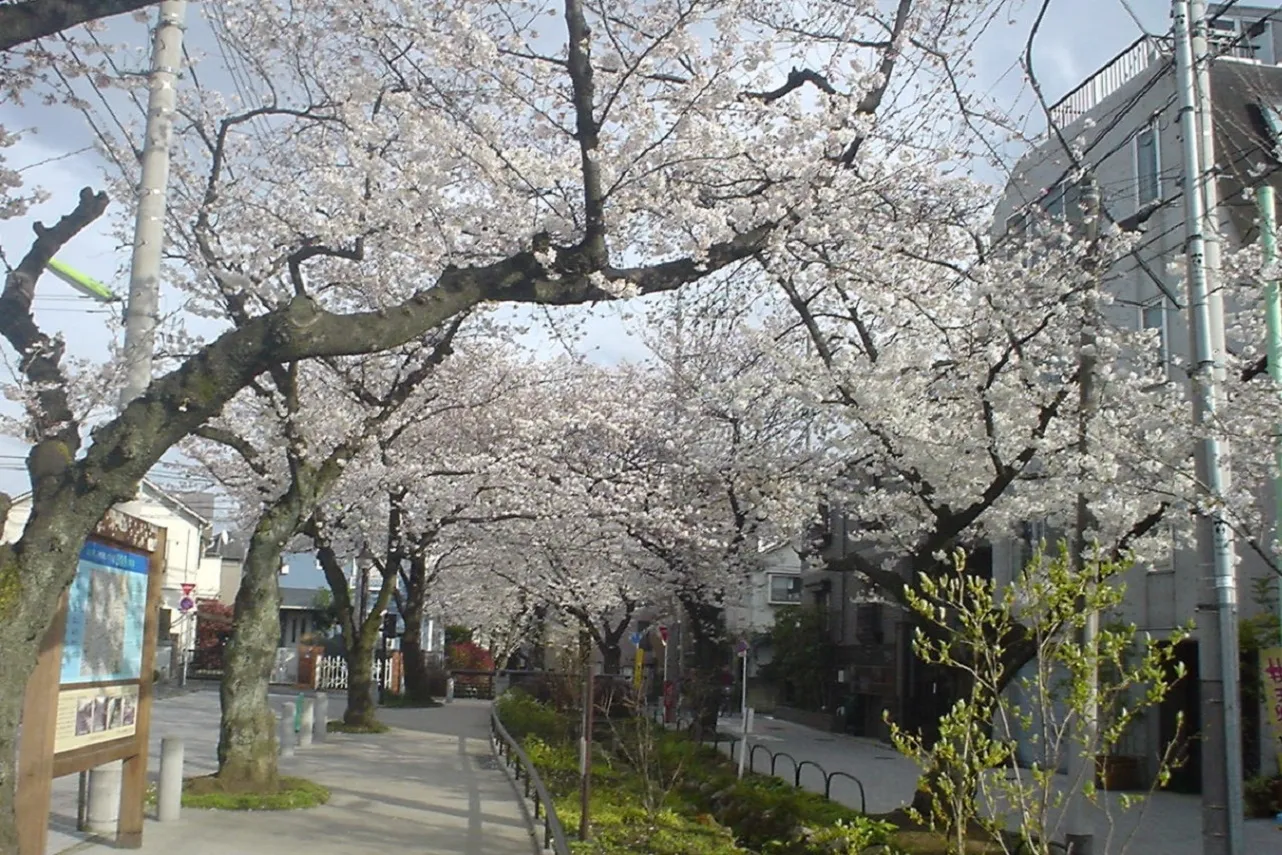 世田谷区立北沢川緑道_5
