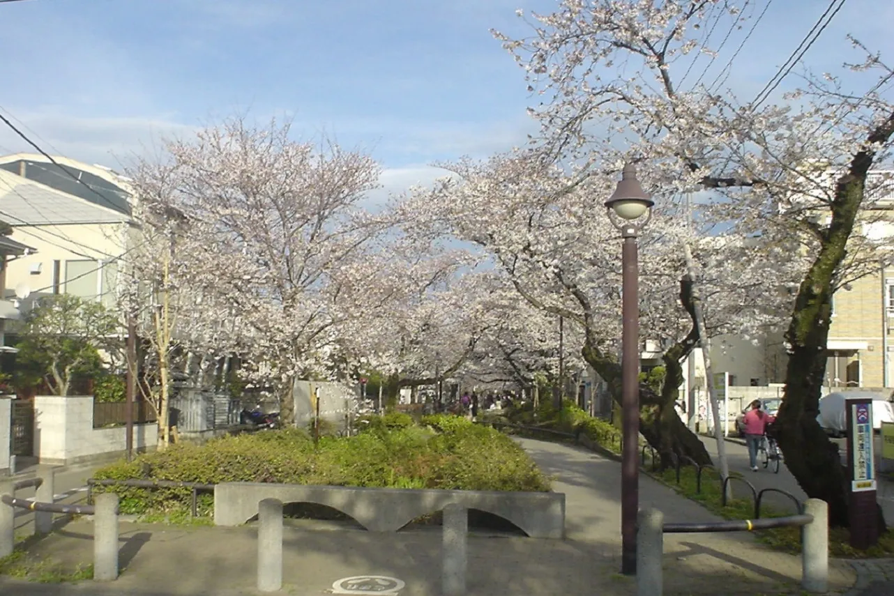 世田谷区立北沢川緑道_6