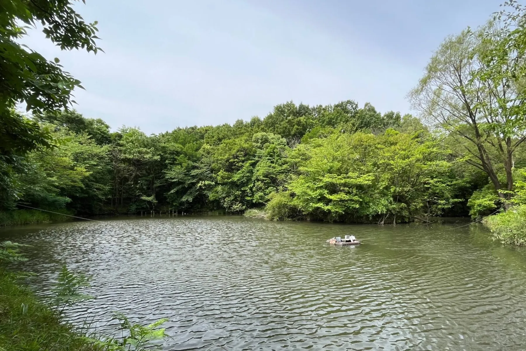 赤羽自然観察公園_1