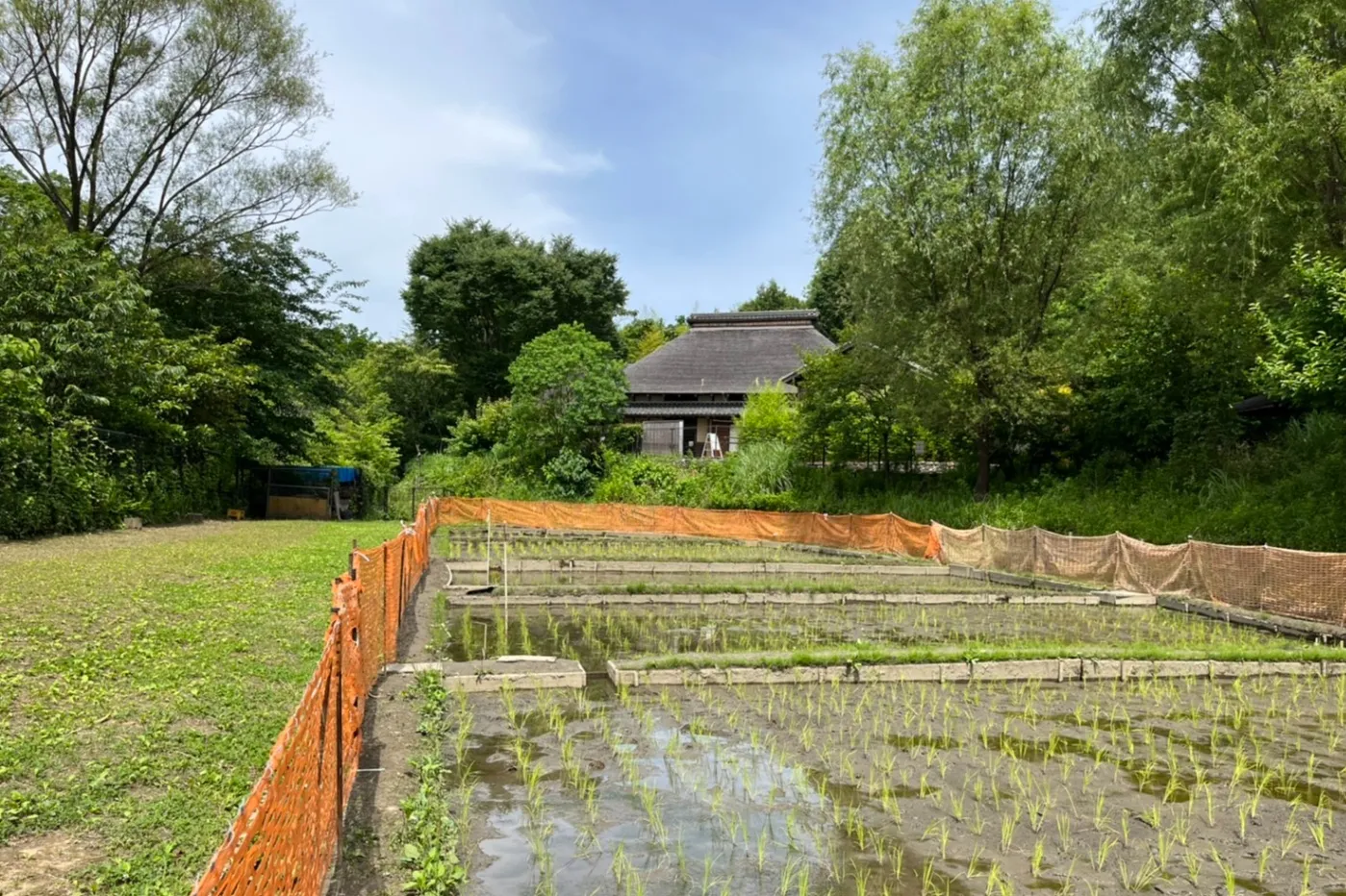 赤羽自然観察公園_2