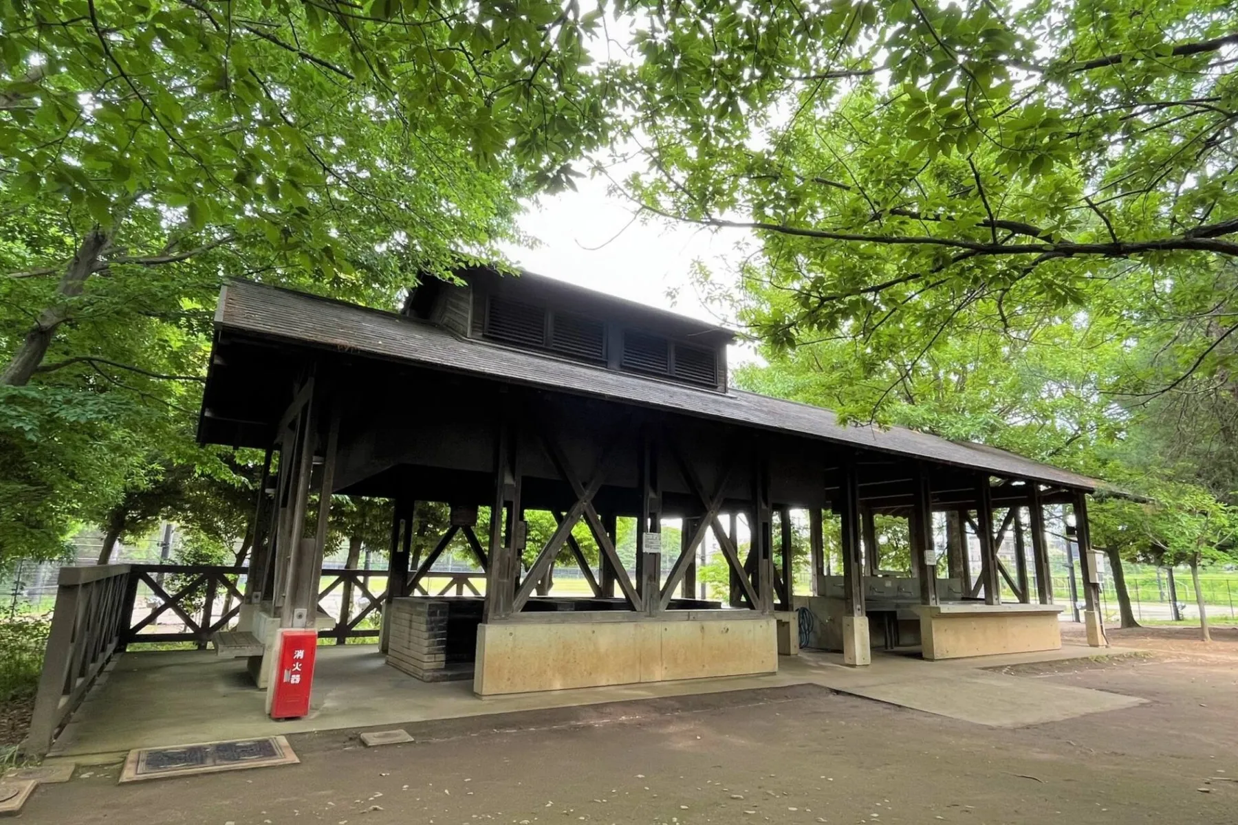 赤羽自然観察公園_5