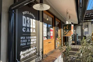 BOULANGER D316CASA