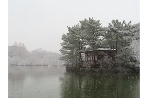 石神井公園