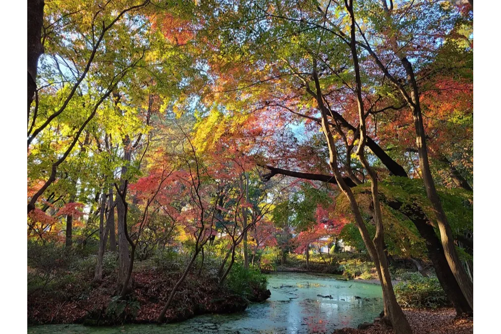 石神井公園_2