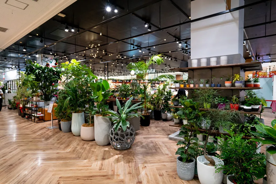 SHEL’TTER GREEN/DELI_3