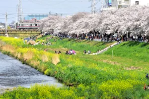 柳瀬川