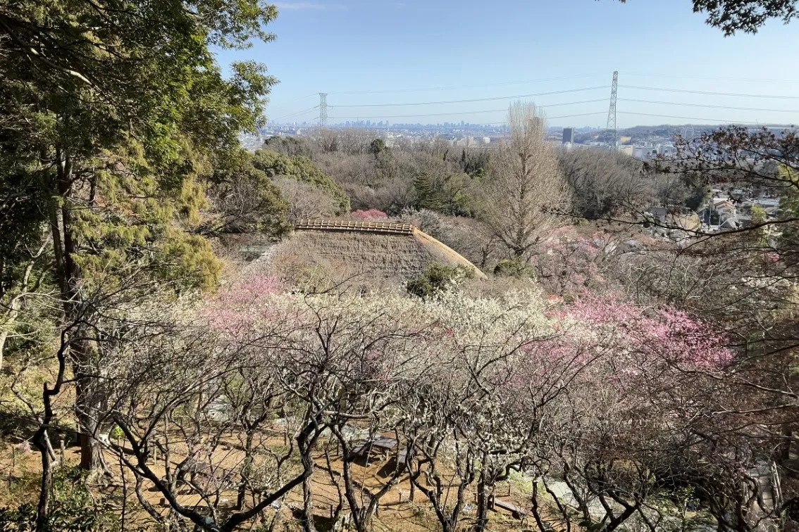 京王百草園_5