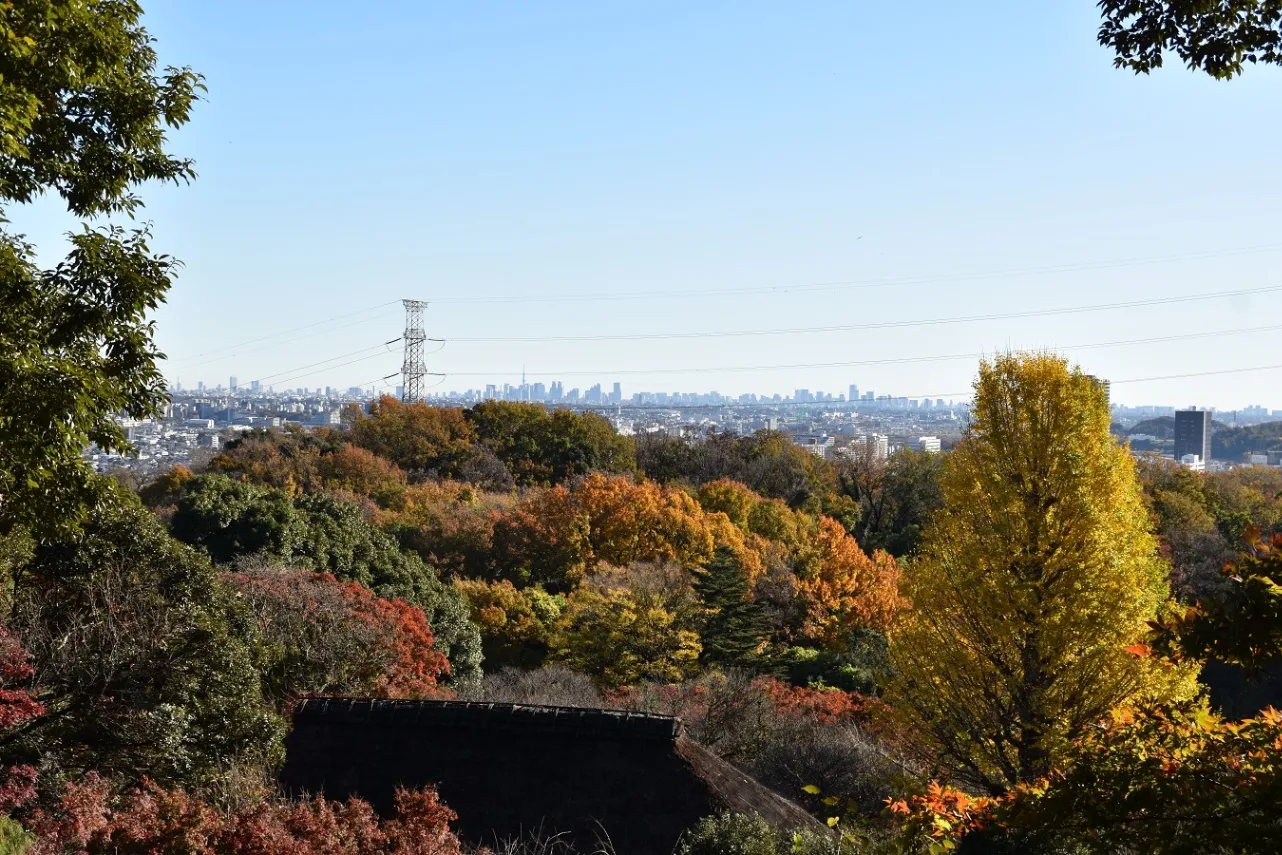京王百草園_3