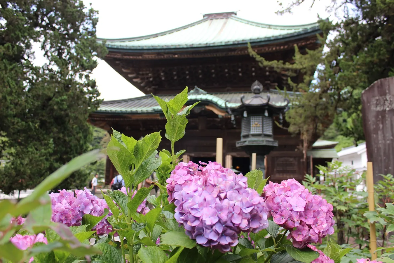 建長寺_5