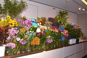 DILIGENCE PARLOUR