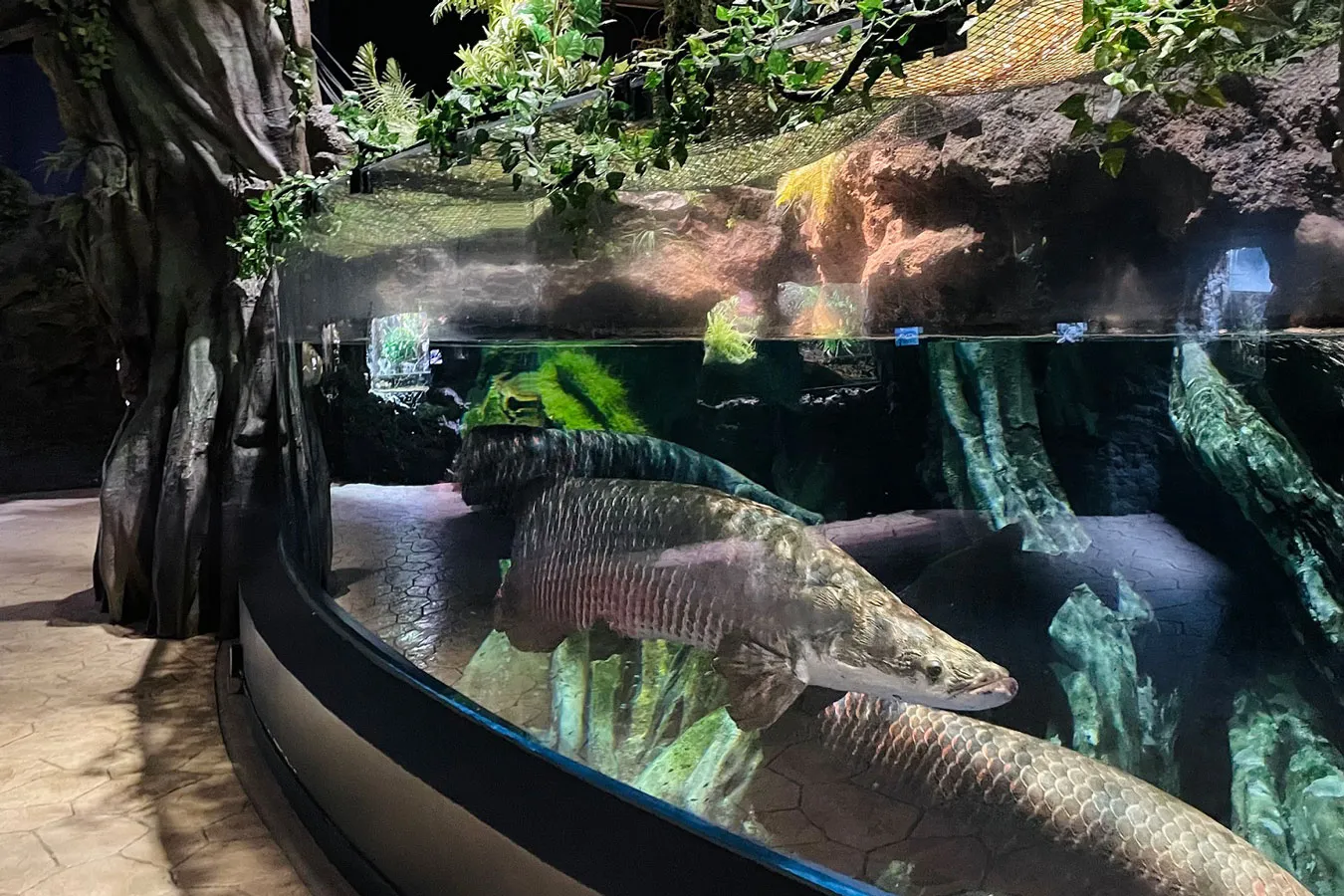 マクセル アクアパーク品川のイベント・アクセス