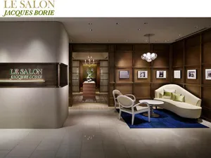 LE SALON jacques borie