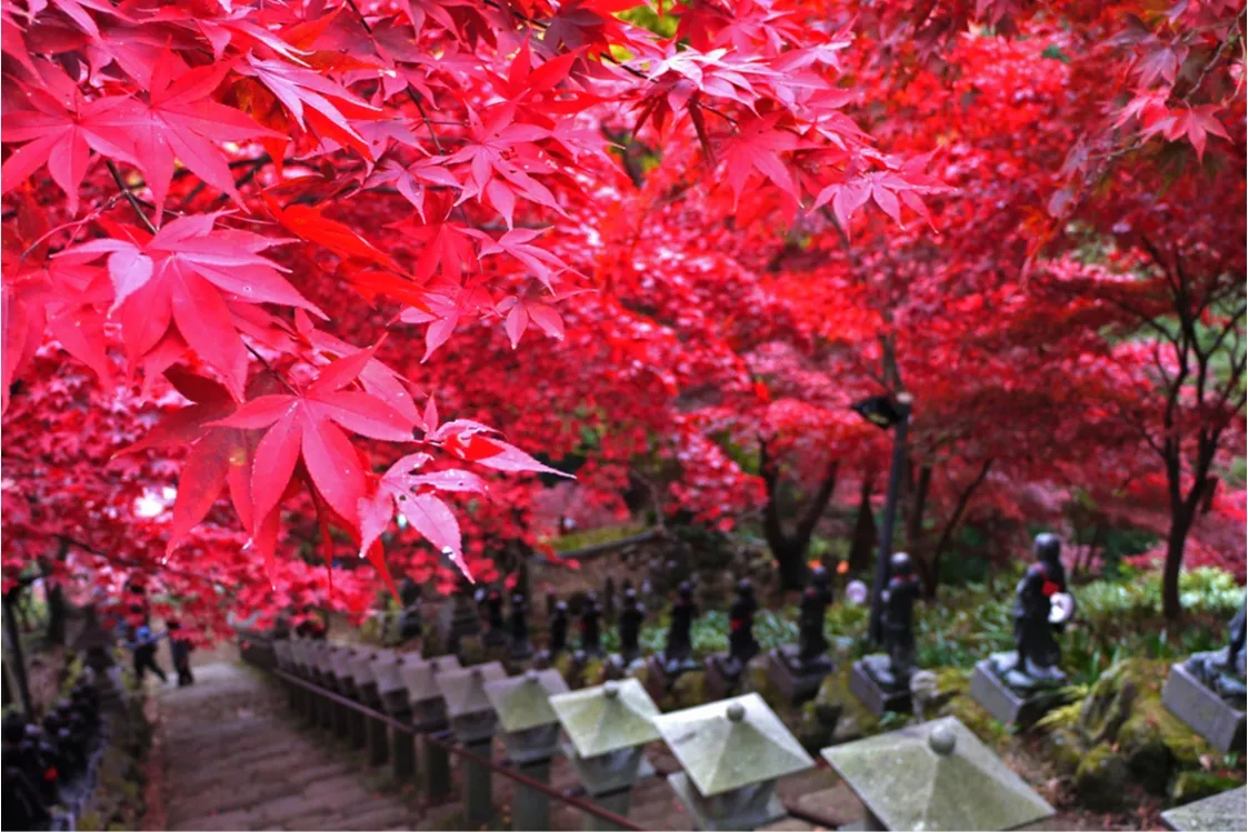 大山（神奈川）_8