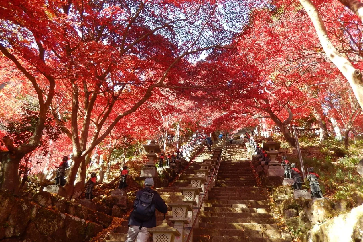 大山（神奈川）_7