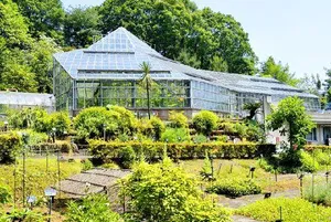 東京薬科大学　薬用植物園