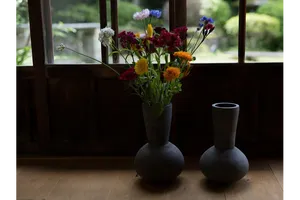 夏椿