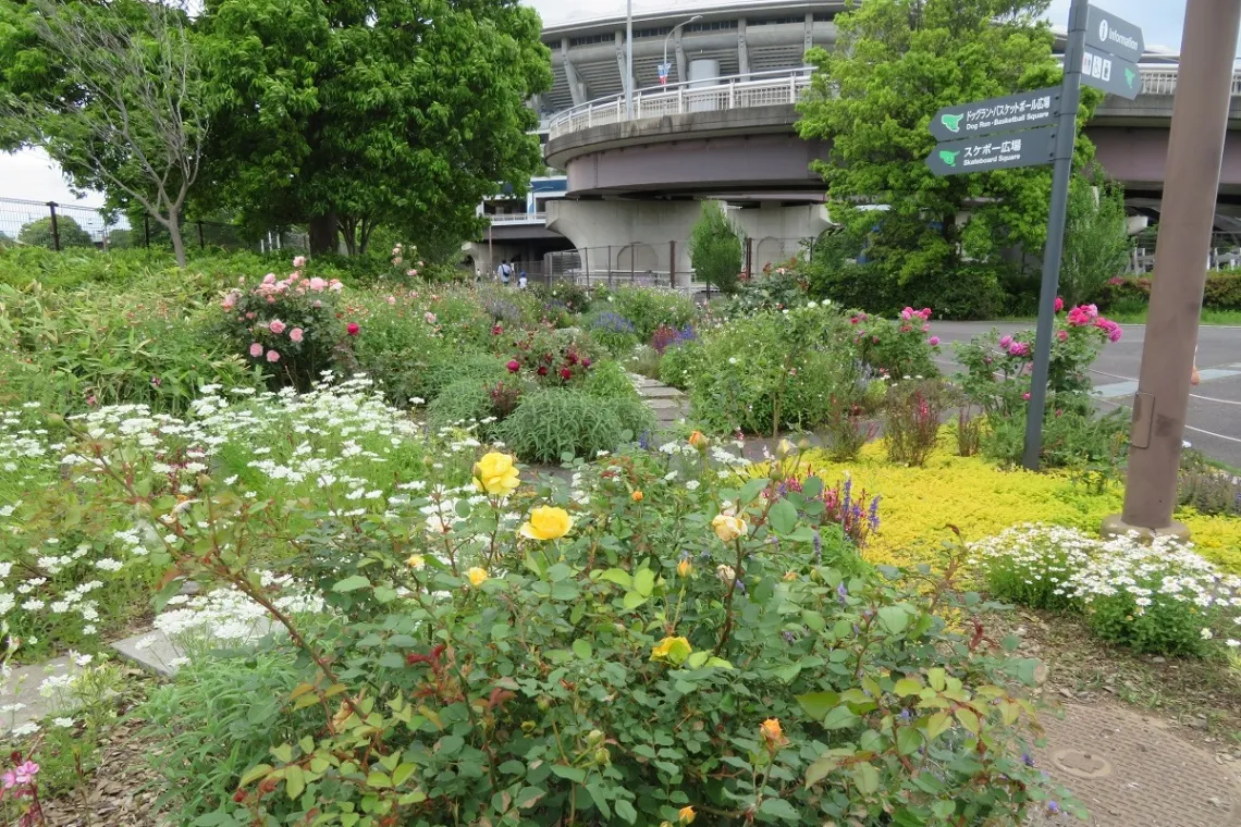 新横浜公園_7