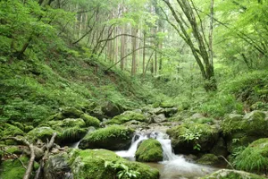 御岳山