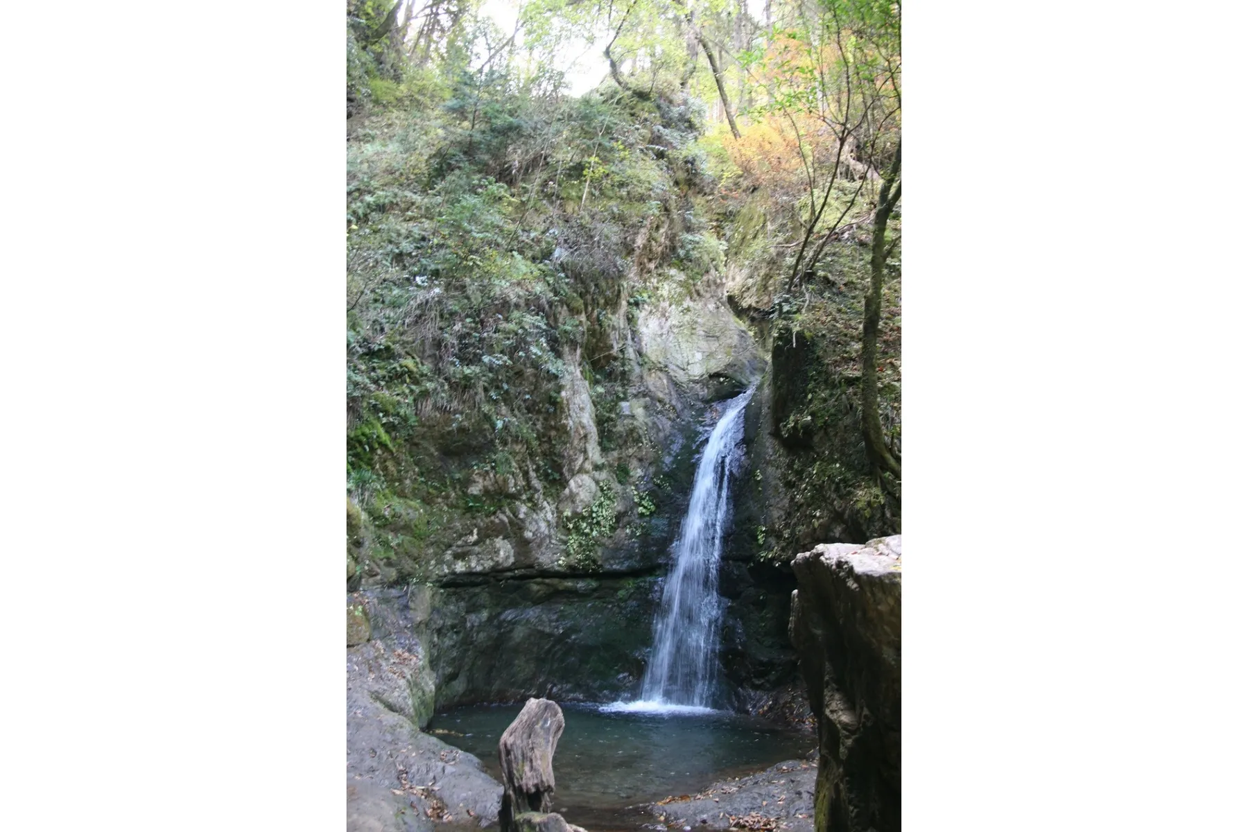 御岳山_7