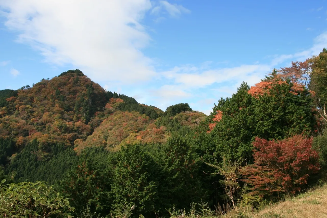 御岳山_9