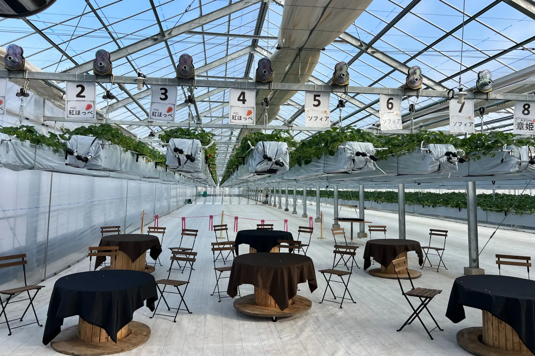 ファーム八千代 古河店_1