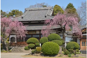 浄居山 青雲寺(谷中七福神 恵比寿)