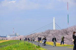 戸田公園（戸田桜づつみ）