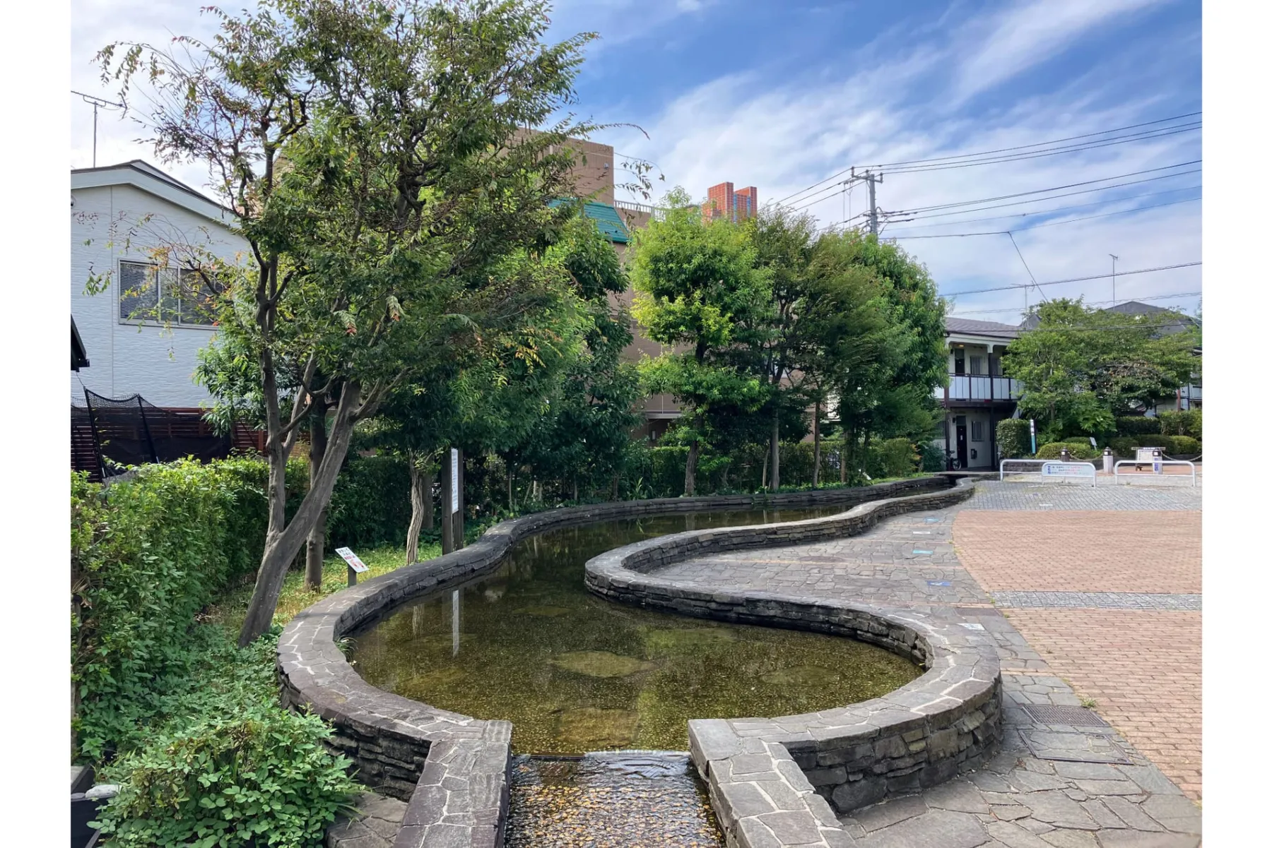 烏山川緑道瓢箪池_1