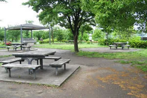 大島小松川公園 バーベキュー広場