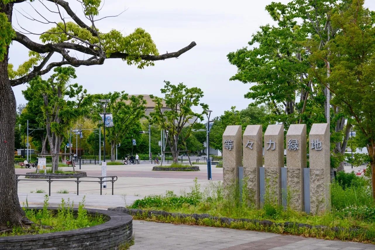 等々力緑地_1